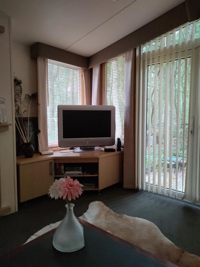 Chalet Met Veranda Aan Bosrand Vledder Luaran gambar
