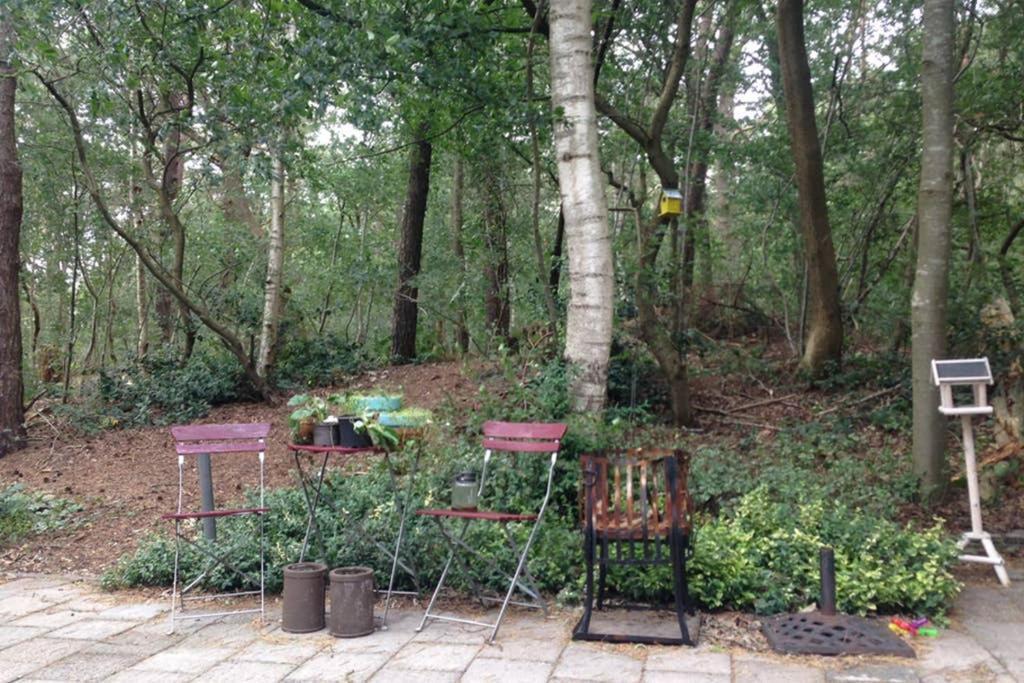 Chalet Met Veranda Aan Bosrand Vledder Luaran gambar