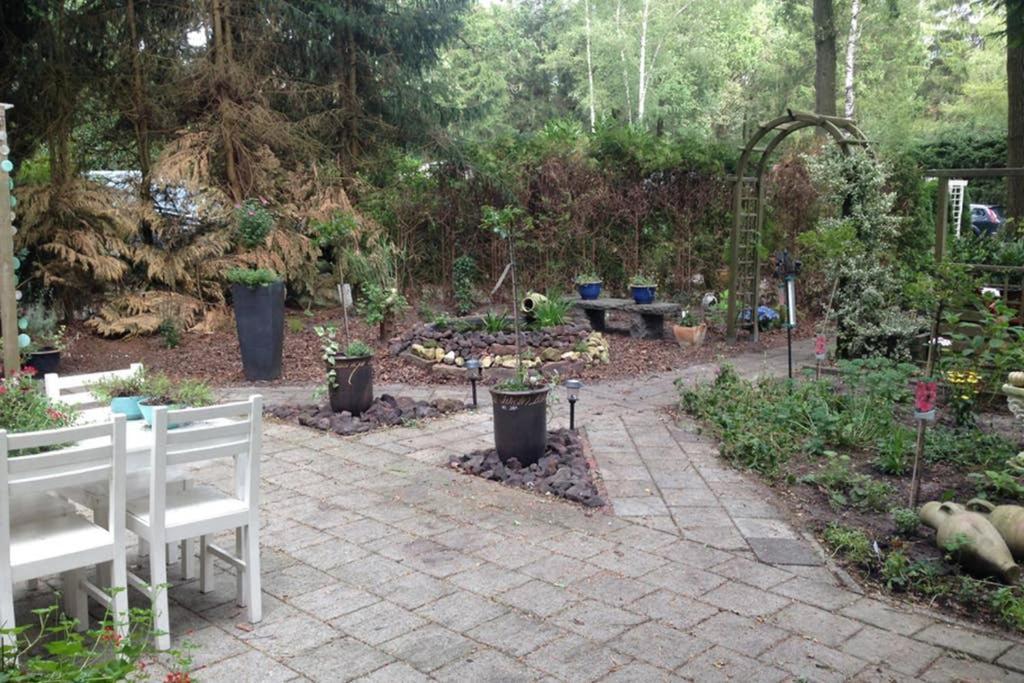 Chalet Met Veranda Aan Bosrand Vledder Luaran gambar